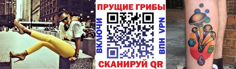 Купить закладки Карачев Галлюциногенные грибы GOLDEN TEACHER